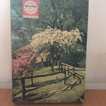 FruehlingPuzzle-scaled.jpg