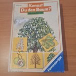 baum.jpeg